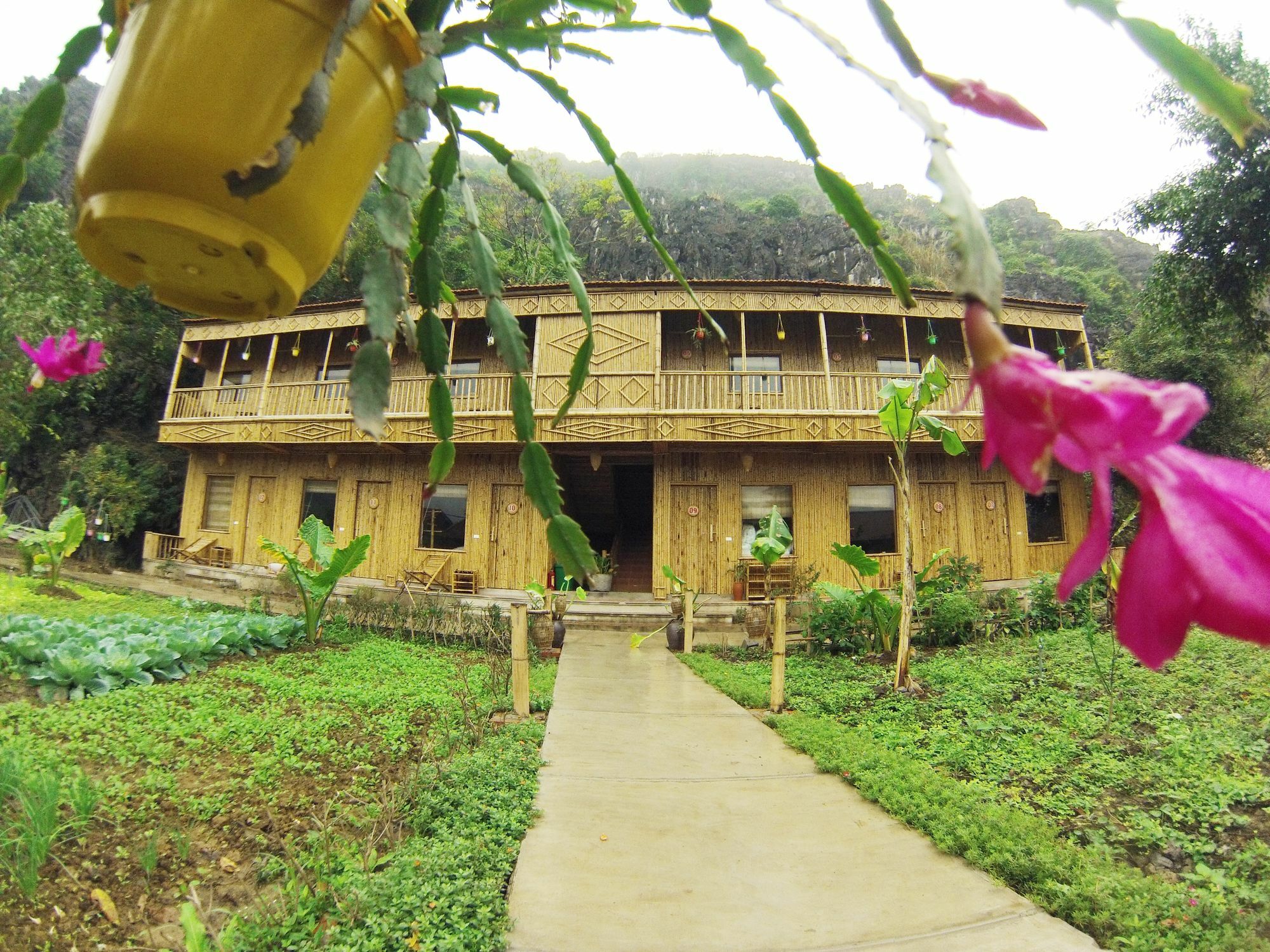Ham Rong Homestay Ниньбинь Экстерьер фото