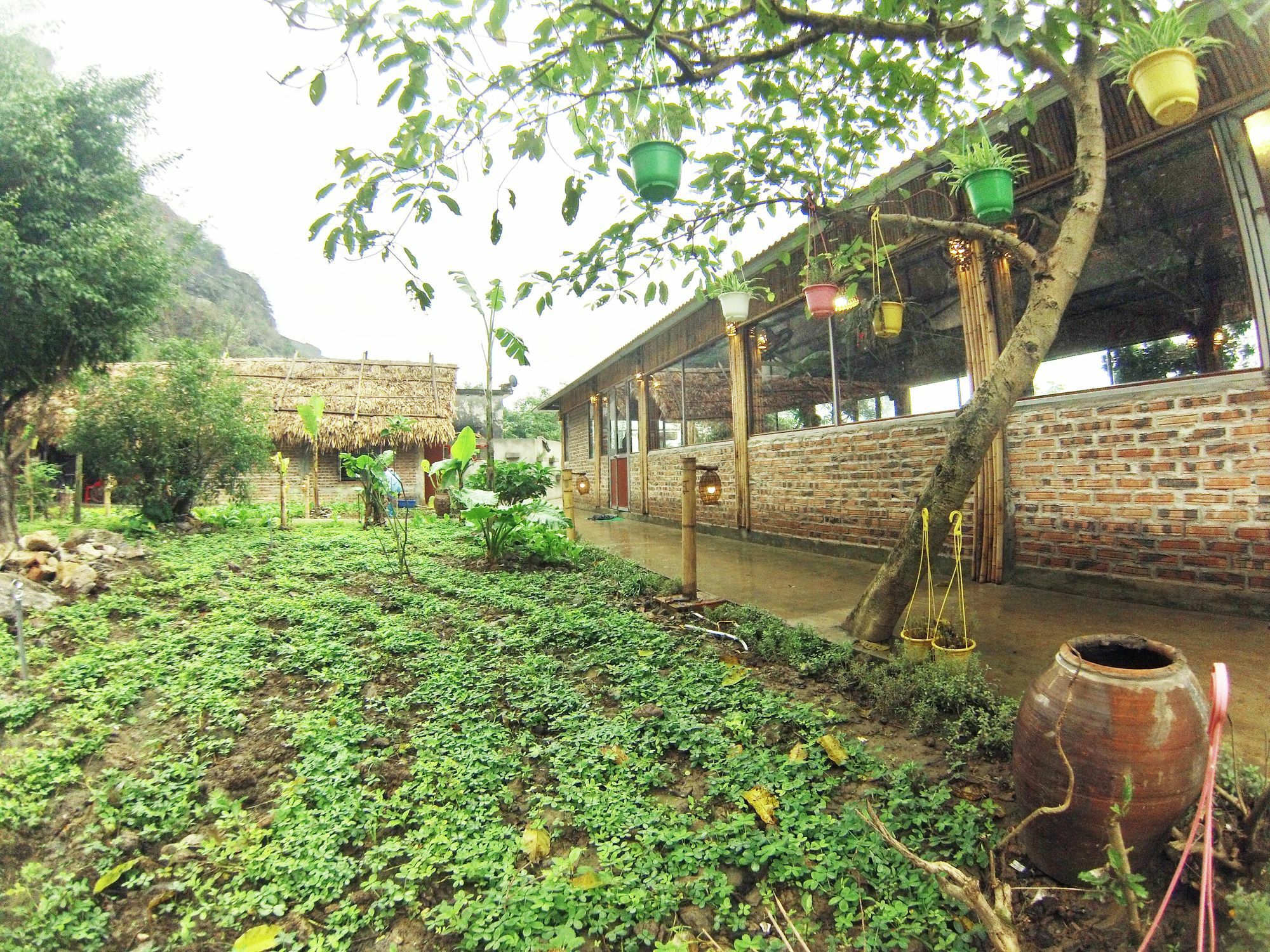 Ham Rong Homestay Ниньбинь Экстерьер фото